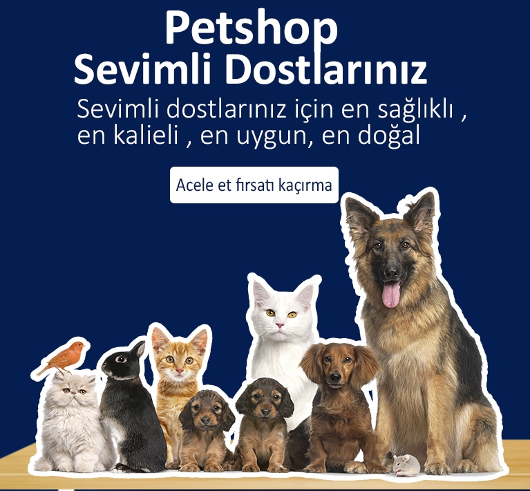petshop-1
