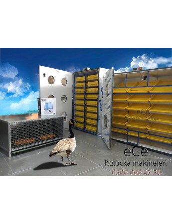KAZ KULUÇKA MAKİNASI 750 GELİŞİM 750 ÇIKIM KOMBİNE 2YIL GARANTİ