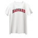 Harvard  Baskılı Erkek Tişört