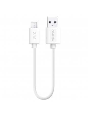 Auris Micro USB 2.1A Powerbank USB Şarj ve Data Kablo 25cm