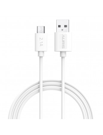 Auris Micro USB 2.1A Yüksek Hız Data Transferi 2mt USB Data Kablosu