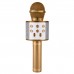 Karaoke Mikrofon Bluetooth, USB, Hafıza Kartı ve Aux Girişli WS-858